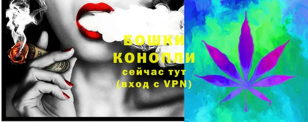 spice Бородино