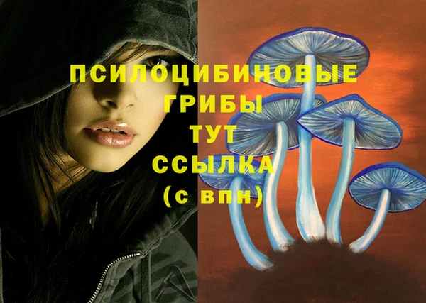 бошки Бугульма