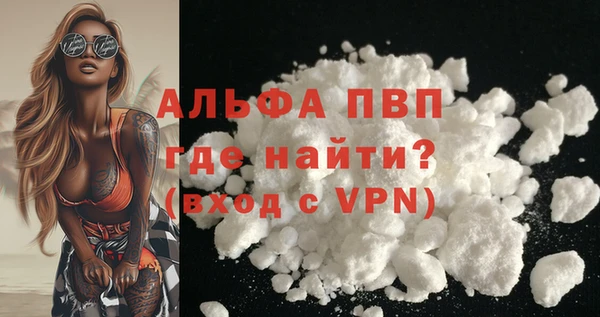 spice Бородино