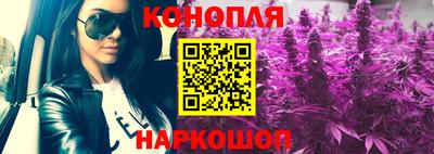 твердый Бийск