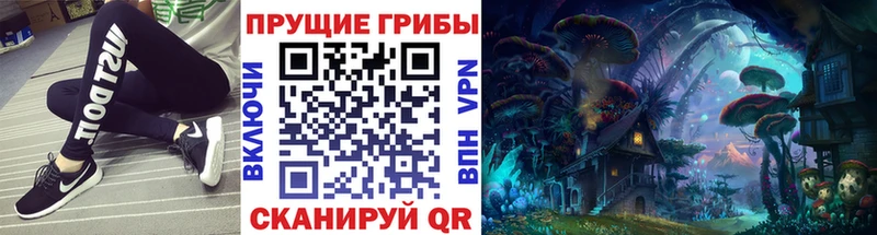 Галлюциногенные грибы Psilocybine cubensis  Бузулук 