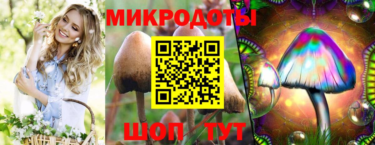 Псилоцибиновые грибы Magic Shrooms Бузулук