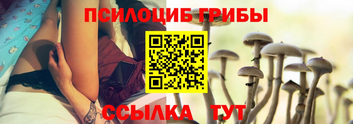 Псилоцибиновые грибы Psilocybe Бузулук